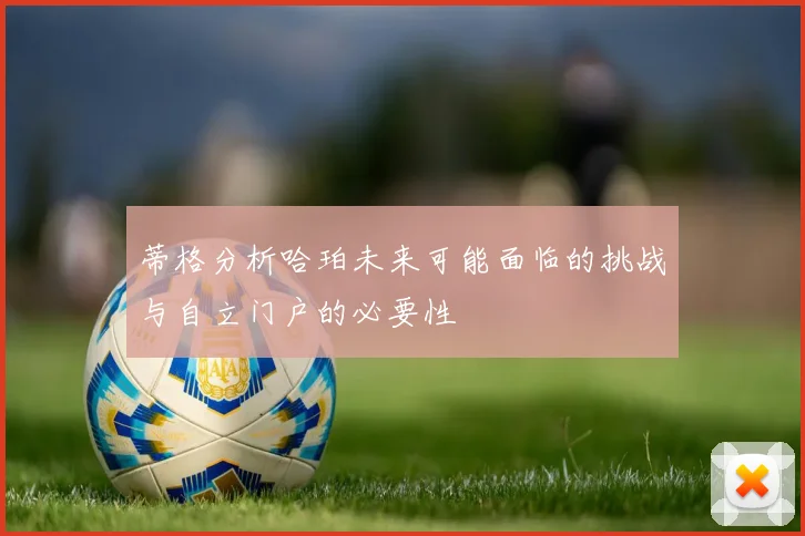 蒂格分析哈珀未来可能面临的挑战与自立门户的必要性