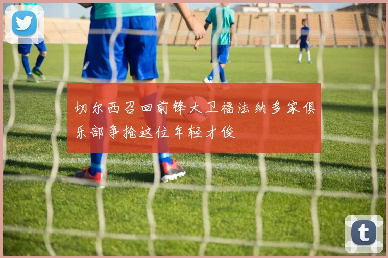 切尔西召回前锋大卫福法纳多家俱乐部争抢这位年轻才俊
